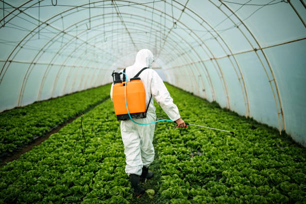 Best Residential Pest Control  in West Park, FL