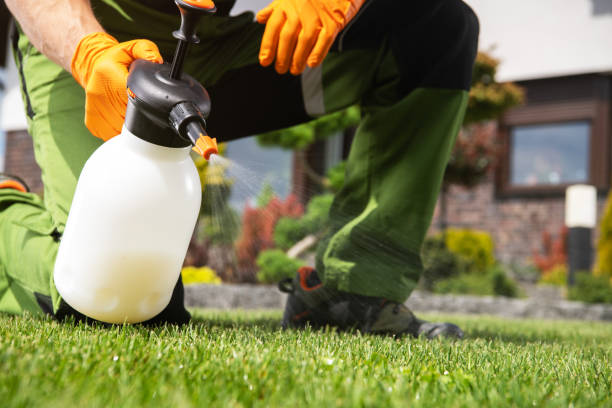 Best Insect Control  in West Park, FL