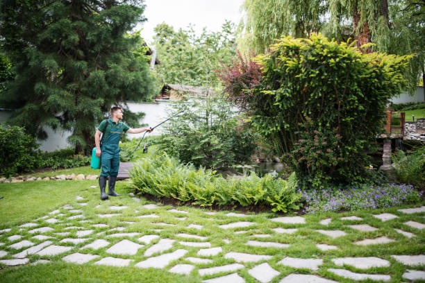 Best Affordable Pest Control Services  in West Park, FL