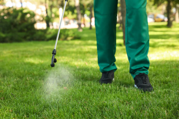Best Affordable Pest Control Services  in West Park, FL