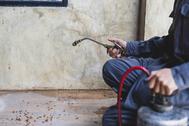 Best Emergency Pest Control  in West Park, FL
