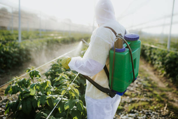 Best Pest Control Near Me  in West Park, FL